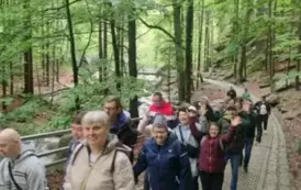 501033923_1035638605337429_6046478565798023693_n