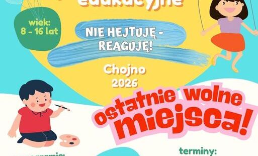 Zdjęcie do Wolne miejsca na p&oacute;łkolonie w Chojnie